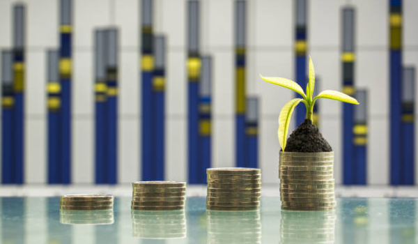 ESG Investing Image - coins and a plant