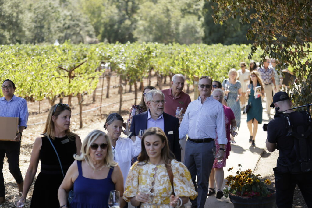 people walking in vineyard