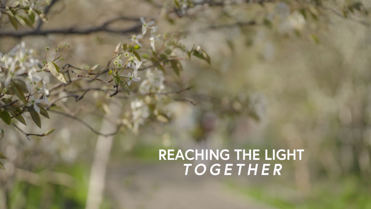 One Mind Releases New Short Documentary Film: Reaching the Light ...